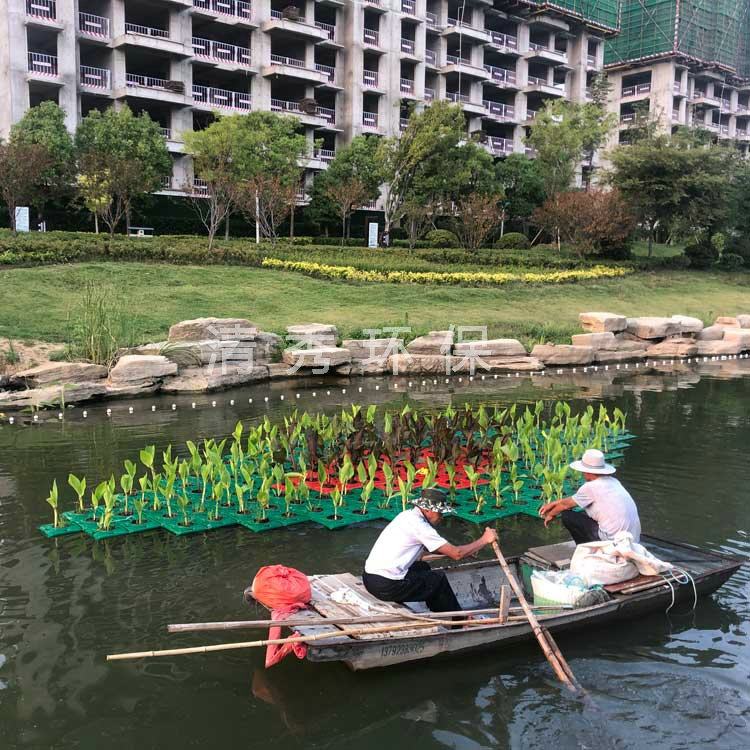 濟(jì)寧微山小新河